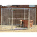 Galvanized Steel Dog Cage